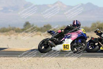 media/Nov-01-2025-CVMA (Sat) [[fc0f7531b8]]/Race 9-Amateur Supersport Middleweight/